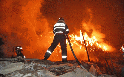 Incendiu de vegetaţie uscată lângă Negreşti Oaş